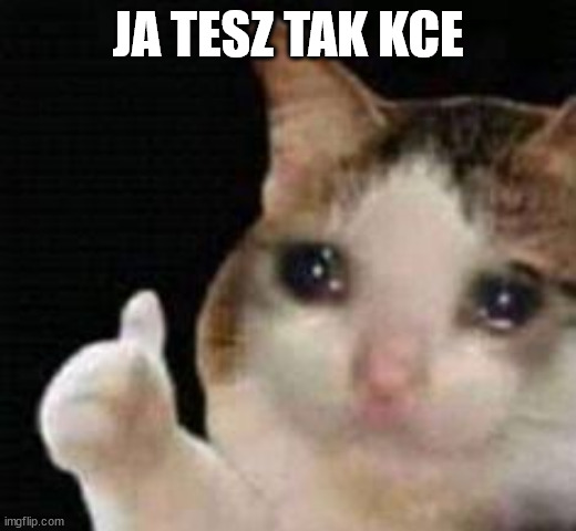 Approved crying cat | JA TESZ TAK KCE | image tagged in approved crying cat | made w/ Imgflip meme maker