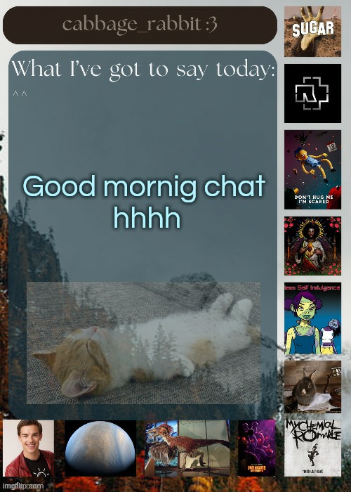 Fell asleep to early and how I'm awake before the sun | Good mornig chat 
hhhh | image tagged in cabbage_rabbit | made w/ Imgflip meme maker