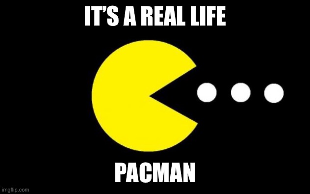 Pacman | IT’S A REAL LIFE PACMAN | image tagged in pacman | made w/ Imgflip meme maker