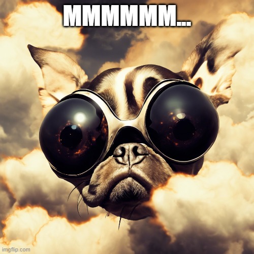 Goggle-eyed Bulldog - MMMMMM | MMMMMM... | image tagged in dog,i have several questions | made w/ Imgflip meme maker