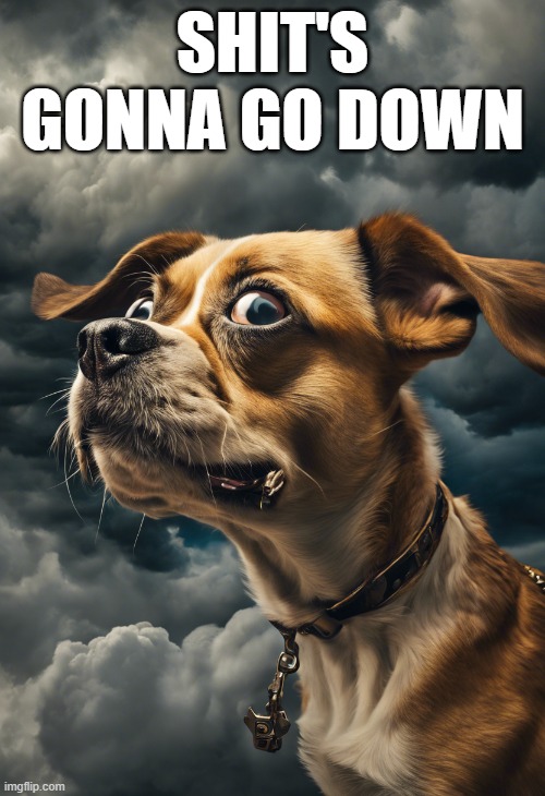 Worried Dog | SHIT'S GONNA GO DOWN | image tagged in worried dog,modern problems,danger,worry,nervous | made w/ Imgflip meme maker