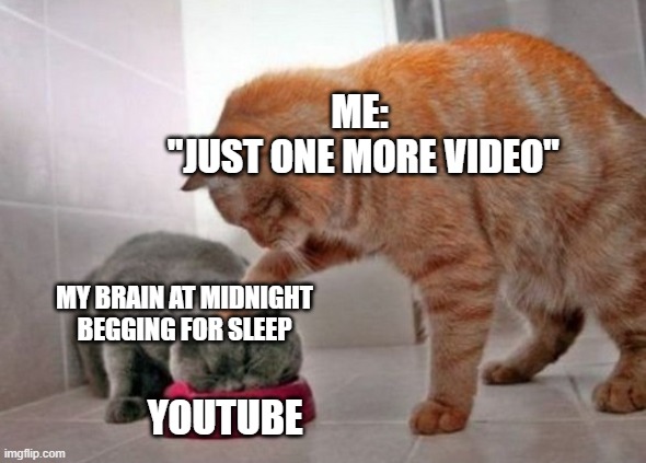 sleep deprivation is real | ME:
 "JUST ONE MORE VIDEO"; MY BRAIN AT MIDNIGHT BEGGING FOR SLEEP; YOUTUBE | image tagged in force feed cat,funny,memes | made w/ Imgflip meme maker