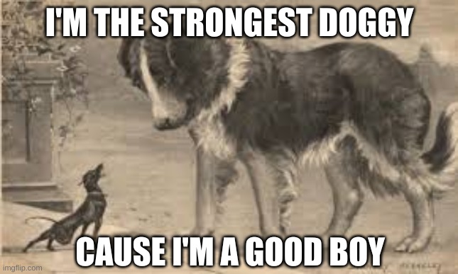 woof bark growl woof | I'M THE STRONGEST DOGGY; CAUSE I'M A GOOD BOY | image tagged in funny animals,funny,goofy,dogs,stupid | made w/ Imgflip meme maker