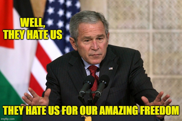 WELL, THEY HATE US THEY HATE US FOR OUR AMAZING FREEDOM | image tagged in george w bush | made w/ Imgflip meme maker