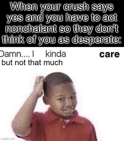 thats cool ig | When your crush says yes and you have to act nonchalant so they don't think of you as desperate:; but not that much | image tagged in damn i kinda dont care | made w/ Imgflip meme maker