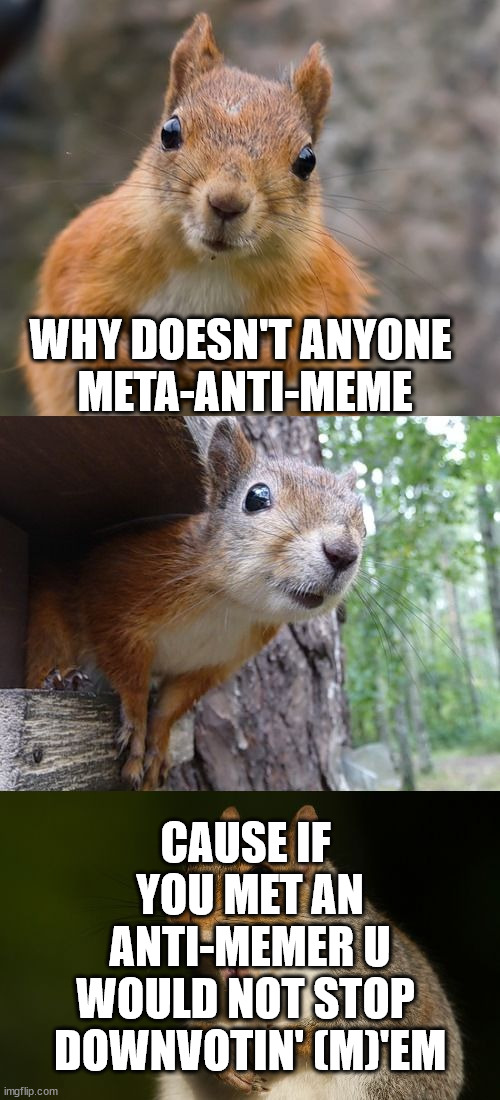 'finally my strength at being no good defeats itself' | WHY DOESN'T ANYONE 
META-ANTI-MEME; CAUSE IF 
YOU MET AN
 ANTI-MEMER U 
WOULD NOT STOP 
DOWNVOTIN' (M)'EM | image tagged in bad pun squirrel | made w/ Imgflip meme maker