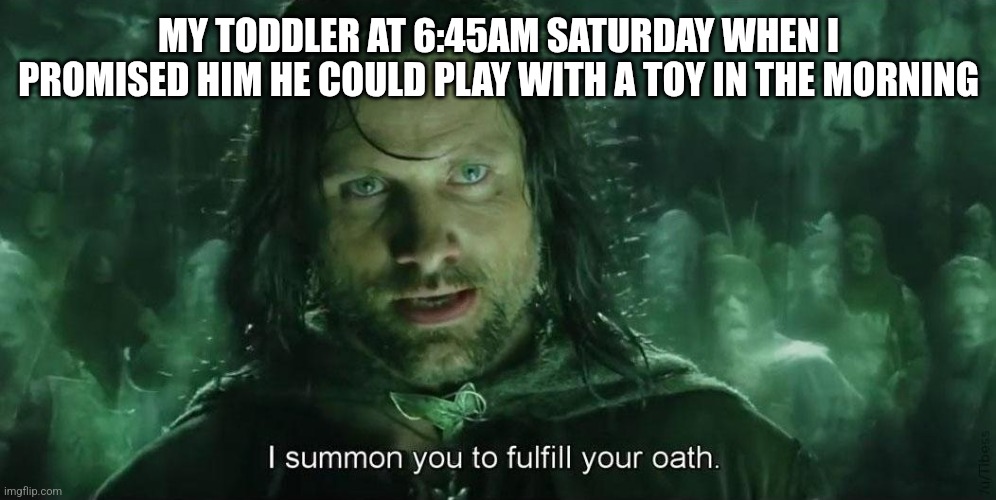 No memory like toddler memory | MY TODDLER AT 6:45AM SATURDAY WHEN I PROMISED HIM HE COULD PLAY WITH A TOY IN THE MORNING | image tagged in i summon you to fullfil your oath | made w/ Imgflip meme maker