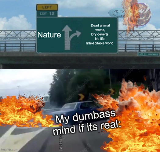 What are we gonna do? THIS IS A DISASTER!!!! | Nature; Dead animal waste, Dry deserts, No life, Inhospitable world; My dumbass mind if its real: | image tagged in memes,left exit 12 off ramp | made w/ Imgflip meme maker