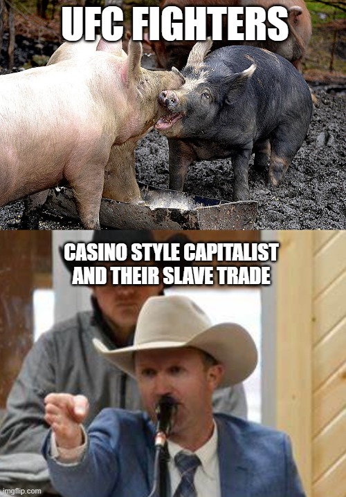 ufc fight auction casino pigs | UFC FIGHTERS; CASINO STYLE CAPITALIST AND THEIR SLAVE TRADE | image tagged in ufc fight auction casino pigs,ufc,pigs,auction,casino | made w/ Imgflip meme maker