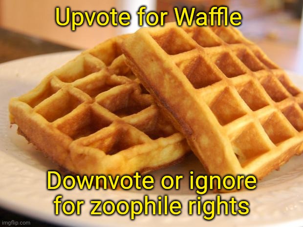 Essay Waffle | Upvote for Waffle; Downvote or ignore for zoophile rights | image tagged in essay waffle | made w/ Imgflip meme maker