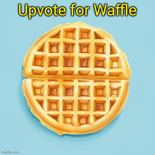 Waffle | Upvote for Waffle | image tagged in waffle | made w/ Imgflip meme maker