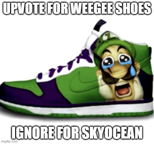 Sad wega shoes | UPVOTE FOR WEEGEE SHOES; IGNORE FOR SKYOCEAN | image tagged in sad wega shoes | made w/ Imgflip meme maker