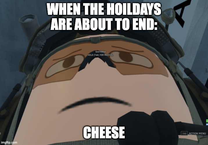 brm | WHEN THE HOILDAYS ARE ABOUT TO END:; CHEESE | image tagged in brm | made w/ Imgflip meme maker