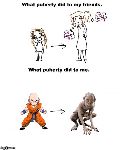 What puberty did to me  | image tagged in what puberty did to me | made w/ Imgflip meme maker