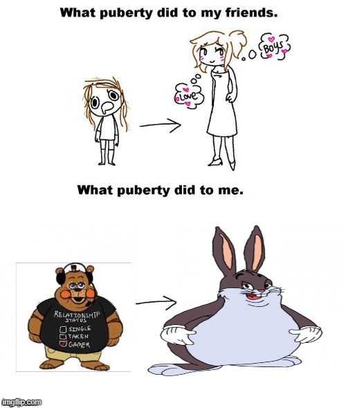 What puberty did to me  | image tagged in what puberty did to me | made w/ Imgflip meme maker