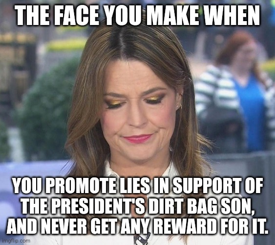 Savannah Guthrie | THE FACE YOU MAKE WHEN YOU PROMOTE LIES IN SUPPORT OF
THE PRESIDENT'S DIRT BAG SON,
AND NEVER GET ANY REWARD FOR IT. | image tagged in savannah guthrie | made w/ Imgflip meme maker