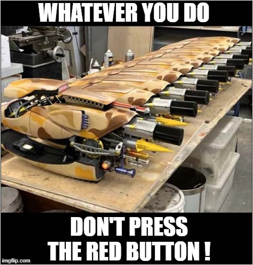 They Were Warned ! | WHATEVER YOU DO; DON'T PRESS THE RED BUTTON ! | image tagged in fifth element,red button | made w/ Imgflip meme maker