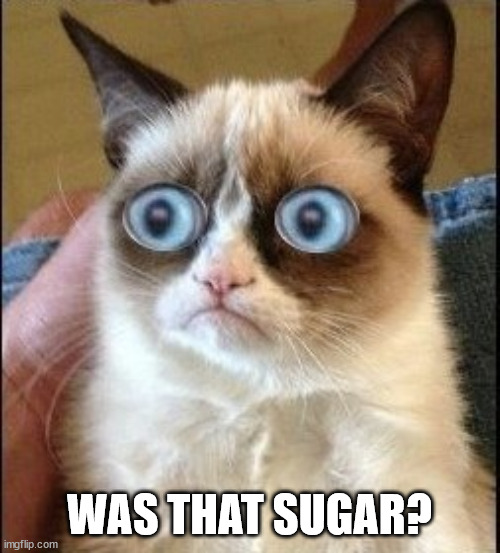 Grumpy Cat Shocked | WAS THAT SUGAR? | image tagged in grumpy cat shocked | made w/ Imgflip meme maker