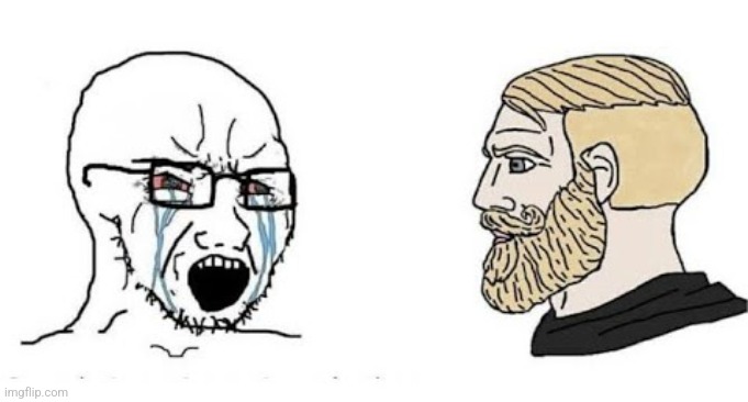 Soyjak vs Chad | image tagged in soyjak vs chad | made w/ Imgflip meme maker