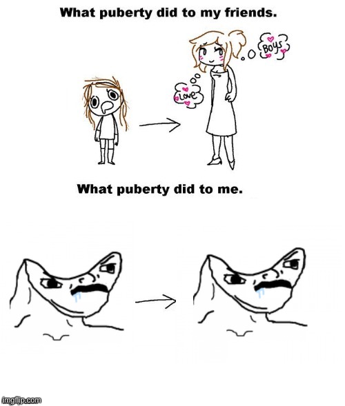 What puberty did to me  | image tagged in what puberty did to me | made w/ Imgflip meme maker