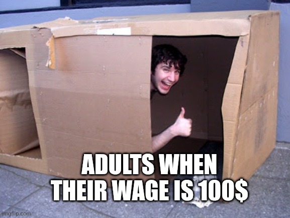 Adult meme | ADULTS WHEN THEIR WAGE IS 100$ | image tagged in cardboard box house,wages | made w/ Imgflip meme maker