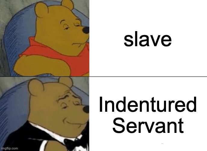 Tuxedo Winnie The Pooh | slave; Indentured Servant | image tagged in memes,tuxedo winnie the pooh | made w/ Imgflip meme maker