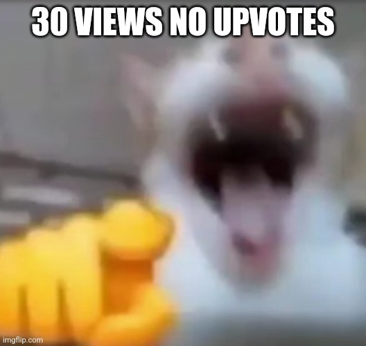 Cat pointing and laughing | 30 VIEWS NO UPVOTES | image tagged in cat pointing and laughing | made w/ Imgflip meme maker