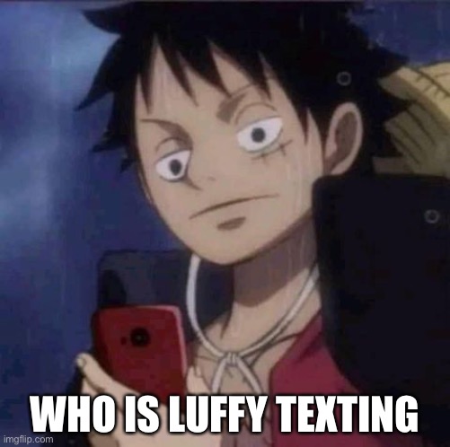 Luffy is texting someone but who is it | WHO IS LUFFY TEXTING | image tagged in luffy texting,luffy,one piece,texting | made w/ Imgflip meme maker