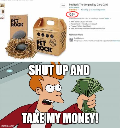 pet rock | SHUT UP AND; TAKE MY MONEY! | image tagged in memes,shut up and take my money fry | made w/ Imgflip meme maker