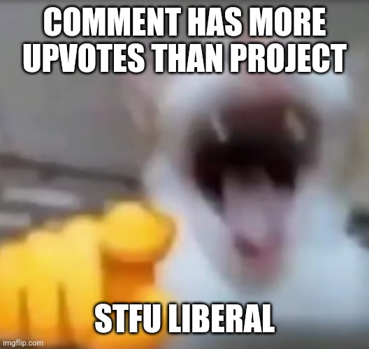 Cat pointing and laughing | COMMENT HAS MORE UPVOTES THAN PROJECT STFU LIBERAL | image tagged in cat pointing and laughing | made w/ Imgflip meme maker