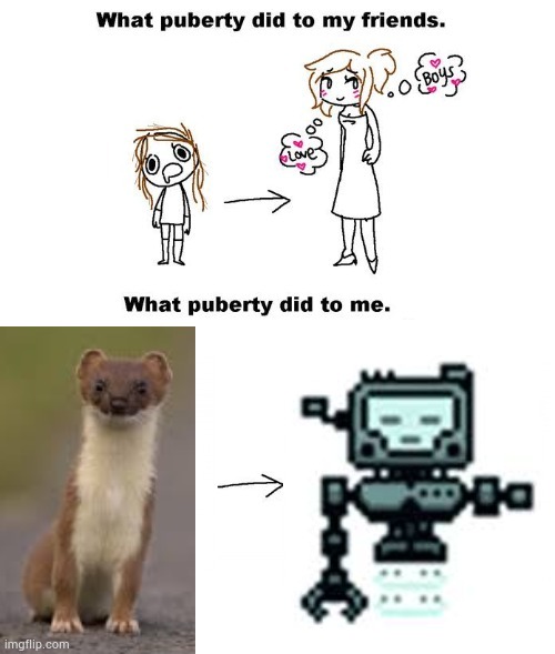 Inscrippy | image tagged in what puberty did to me | made w/ Imgflip meme maker