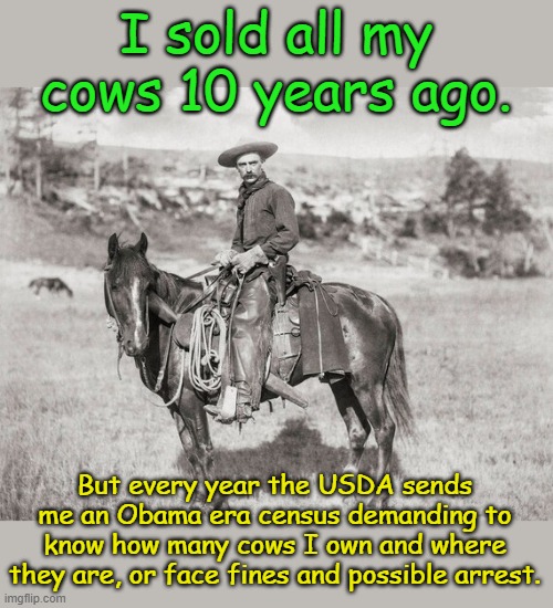 America, home of the brave and everyone the government wants to invent crimes for... | I sold all my cows 10 years ago. But every year the USDA sends me an Obama era census demanding to know how many cows I own and where they are, or face fines and possible arrest. | image tagged in old west cowboy 1888 | made w/ Imgflip meme maker