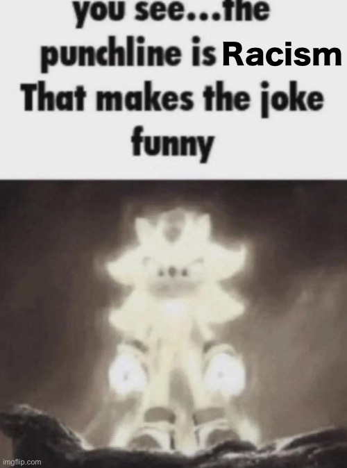 You see the punchline is that makes the joke funny shadow | Racism | image tagged in you see the punchline is that makes the joke funny shadow | made w/ Imgflip meme maker