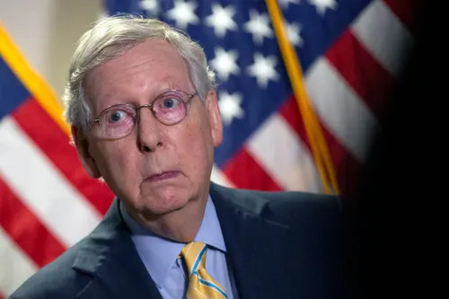 Mitch the bitch Blank Meme Template