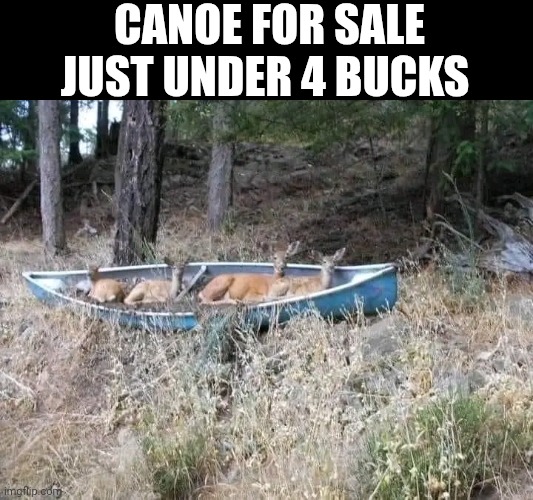 Canoe For Sale Just Under 4 Bucks | CANOE FOR SALE JUST UNDER 4 BUCKS | image tagged in chris joines | made w/ Imgflip meme maker