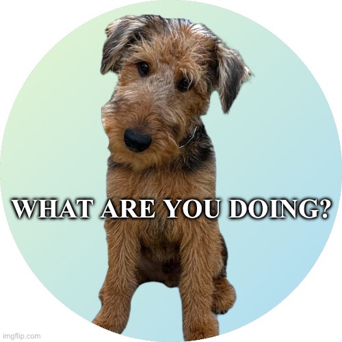 Hi | WHAT ARE YOU DOING? | image tagged in curious,greeting | made w/ Imgflip meme maker