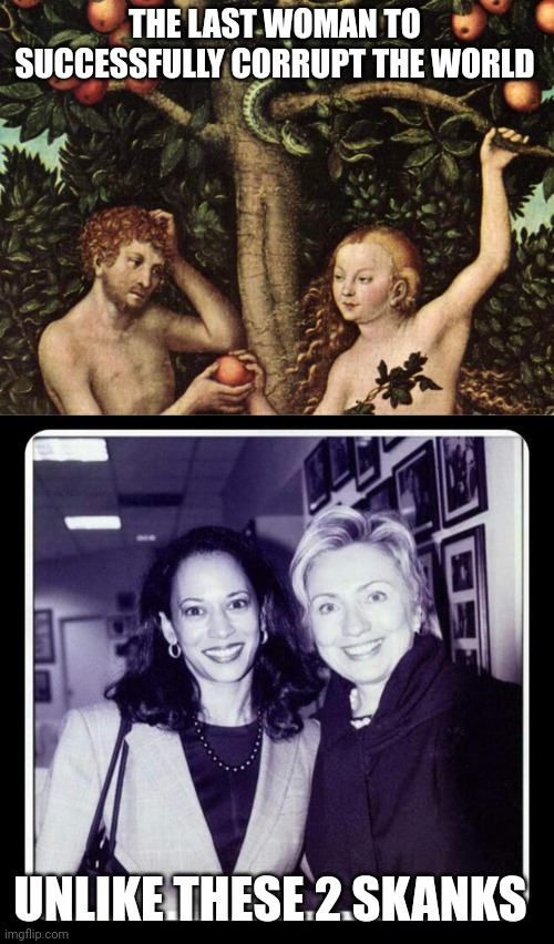 Just like Trump.....we dodged a bullet.... | THE LAST WOMAN TO SUCCESSFULLY CORRUPT THE WORLD; UNLIKE THESE 2 SKANKS | image tagged in adam and eve,hobama and hillary | made w/ Imgflip meme maker