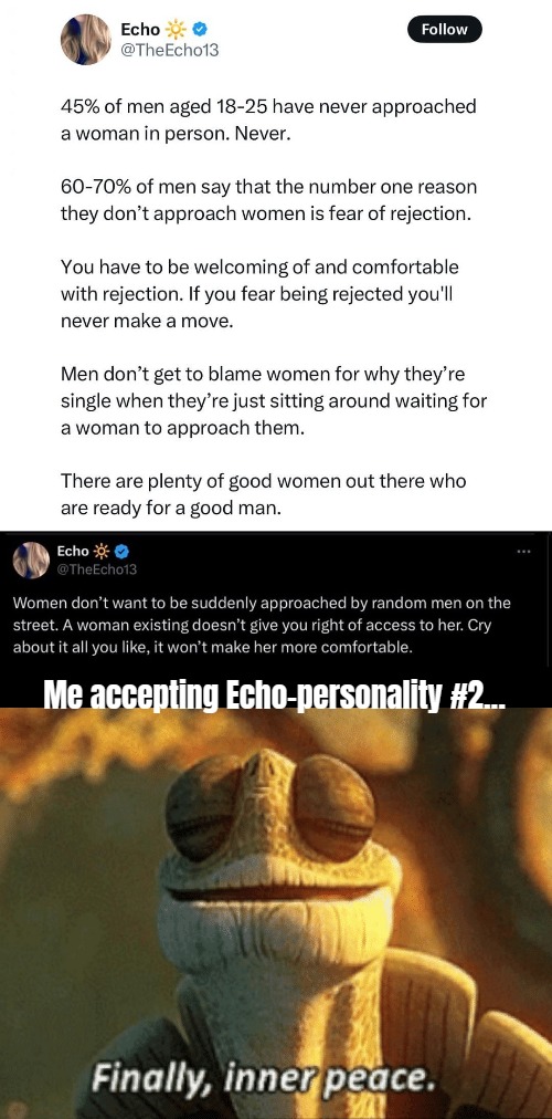 Good to be safe. The most loud feminists will appreciate it | Me accepting Echo-personality #2... | image tagged in finally inner peace,men and women | made w/ Imgflip meme maker