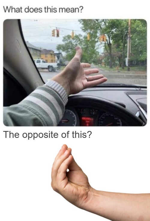 The opposite of this? | image tagged in funny | made w/ Imgflip meme maker