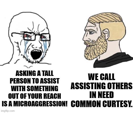 How dare you! | WE CALL ASSISTING OTHERS IN NEED COMMON CURTESY. ASKING A TALL PERSON TO ASSIST WITH SOMETHING OUT OF YOUR REACH IS A MICROAGGRESSION! | image tagged in crying wojak v chad taller | made w/ Imgflip meme maker