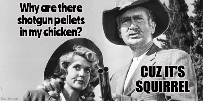 Ya Gotter Shoot Them Thar Squirrels | Why are there shotgun pellets in my chicken? CUZ IT'S SQUIRREL | image tagged in beverly hillbillies,funny,you won't get it,it's funny,hillbilly humor,memes | made w/ Imgflip meme maker