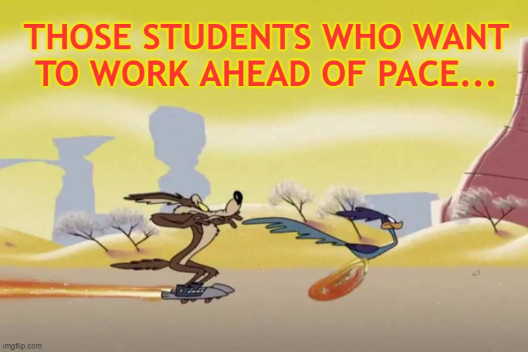 Working Ahead of Pace | THOSE STUDENTS WHO WANT TO WORK AHEAD OF PACE... | image tagged in roadrunner,students,assignment,college,online classes | made w/ Imgflip meme maker