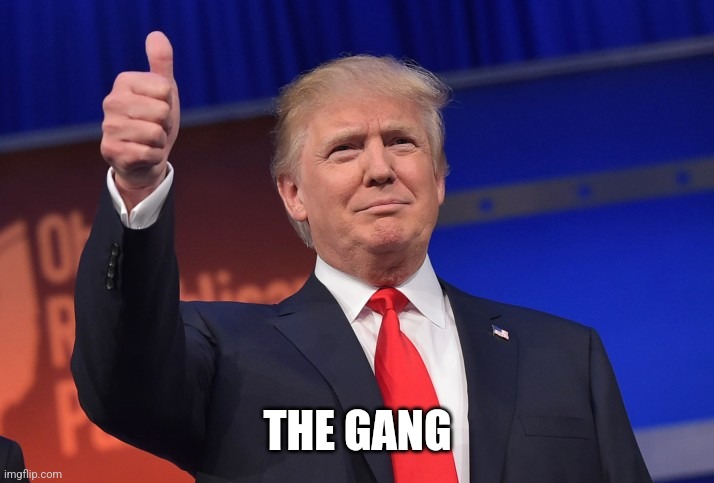 Donald Trump Approves | THE GANG | image tagged in donald trump approves | made w/ Imgflip meme maker