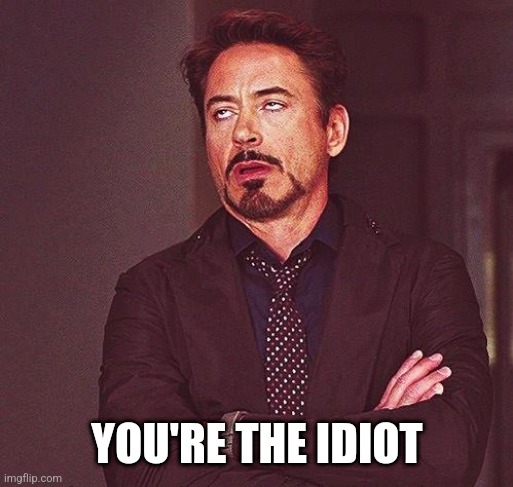 Robert Downey Jr Annoyed | YOU'RE THE IDIOT | image tagged in robert downey jr annoyed | made w/ Imgflip meme maker