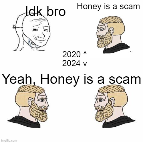 2 Crying Soyjacks | Idk bro; Honey is a scam; 2020 ^
2024 v; Yeah, Honey is a scam | image tagged in 2 crying soyjacks | made w/ Imgflip meme maker