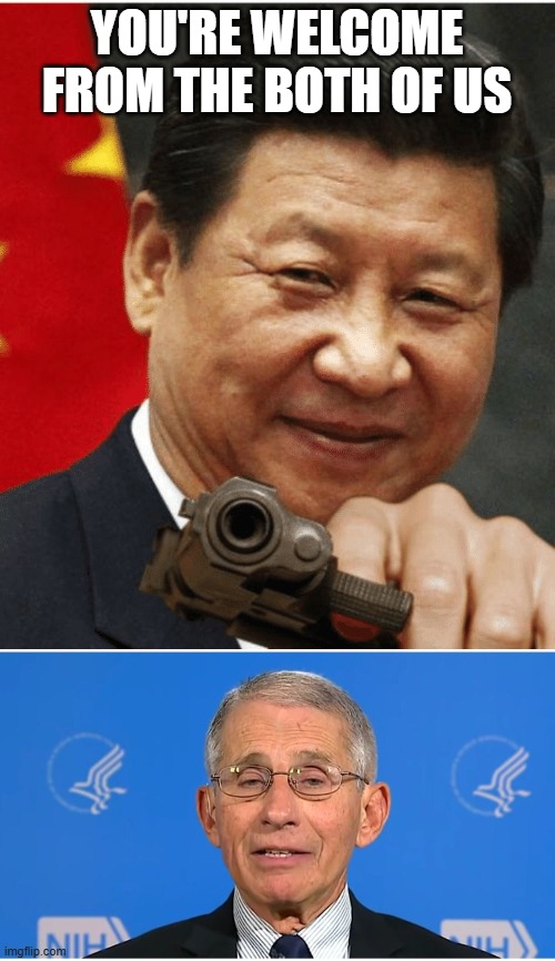 YOU'RE WELCOME FROM THE BOTH OF US | image tagged in xi jinping,dr fauci | made w/ Imgflip meme maker