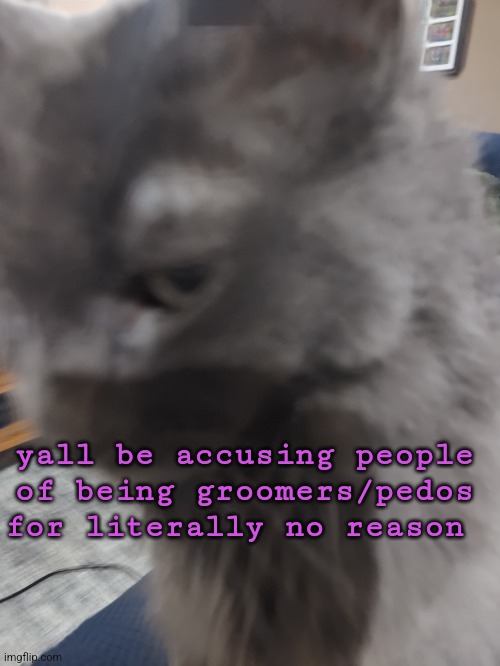 32's Cat | yall be accusing people of being groomers/pedos for literally no reason | image tagged in 32's cat | made w/ Imgflip meme maker