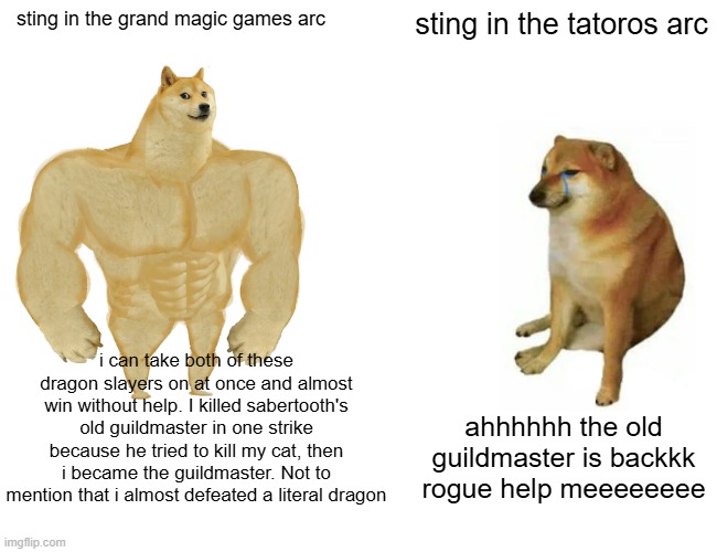 silly goofy being mean to my favorite character >:) | sting in the grand magic games arc; sting in the tatoros arc; i can take both of these dragon slayers on at once and almost win without help. I killed sabertooth's old guildmaster in one strike because he tried to kill my cat, then i became the guildmaster. Not to mention that i almost defeated a literal dragon; ahhhhhh the old guildmaster is backkk rogue help meeeeeeee | image tagged in memes,buff doge vs cheems,fairy tail | made w/ Imgflip meme maker