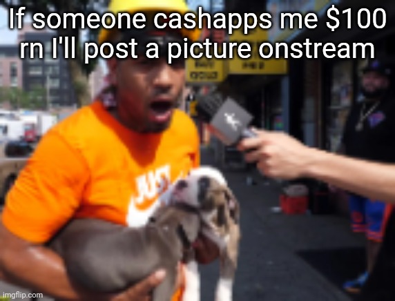 bingbong | If someone cashapps me $100 rn I'll post a picture onstream | image tagged in bingbong | made w/ Imgflip meme maker