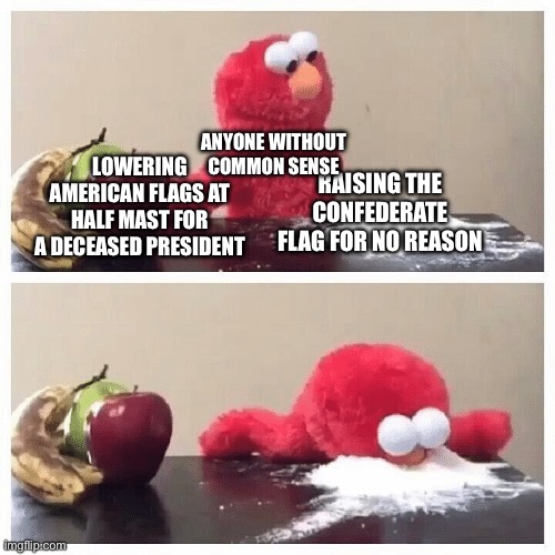 Respect flag protocol | ANYONE WITHOUT COMMON SENSE; LOWERING AMERICAN FLAGS AT HALF MAST FOR A DECEASED PRESIDENT; RAISING THE CONFEDERATE FLAG FOR NO REASON | image tagged in elmo fruit vs sugar | made w/ Imgflip meme maker